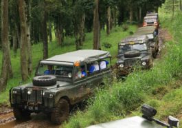 Off Road Adventure