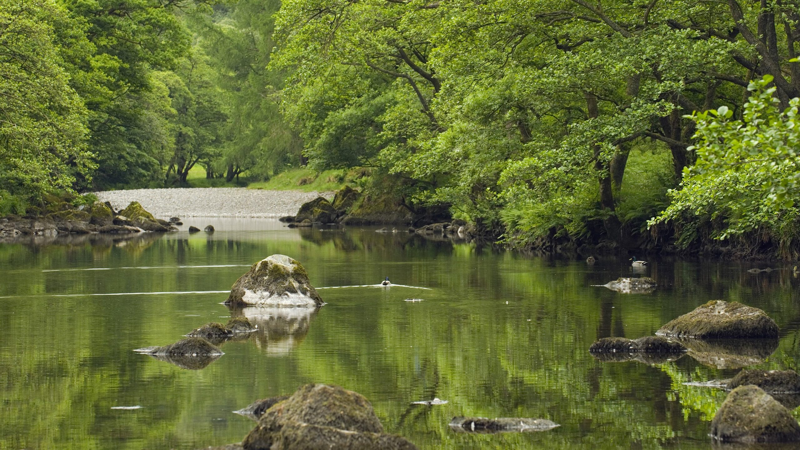 Tranquil River