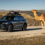 Audi Q8 e Tron edition Dakar 7