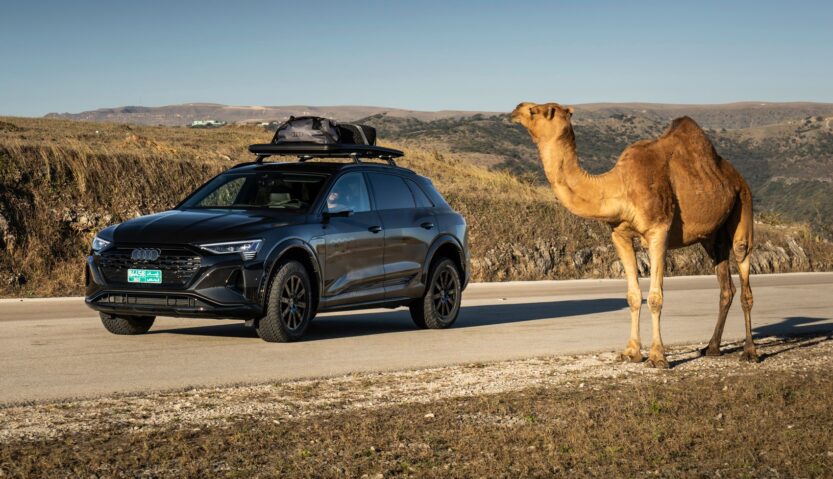 Audi Q8 e Tron edition Dakar 7