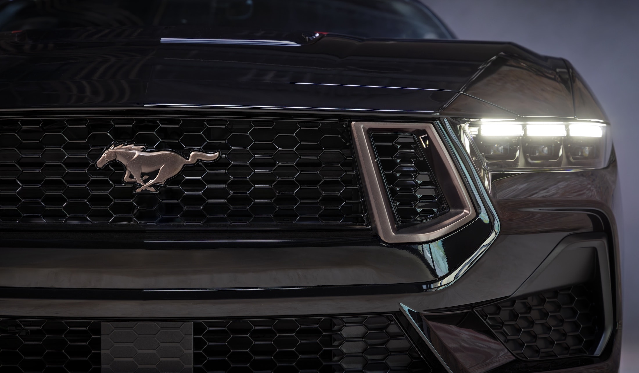 Ford Mustang EcoBoost TLD Signature Edition (4)