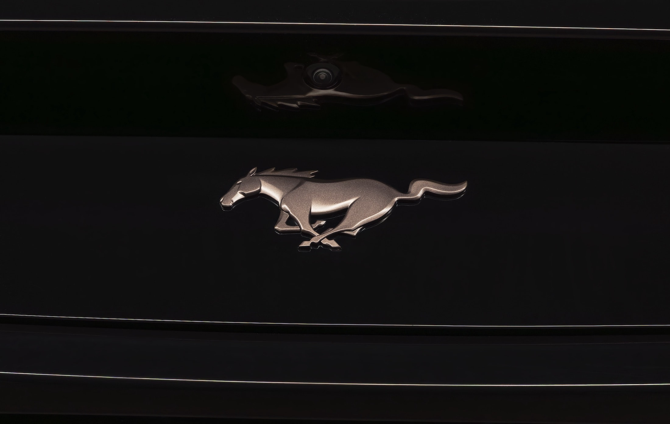 Ford Mustang EcoBoost TLD Signature Edition (5)