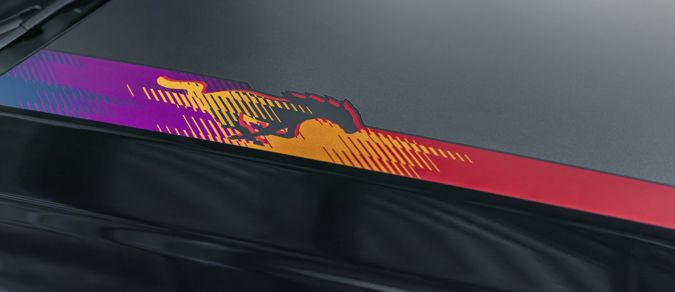 Ford Mustang EcoBoost TLD Signature Edition (9)